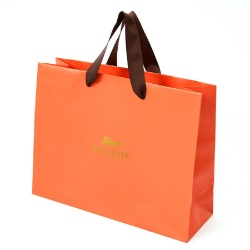 Luxury shopping bags