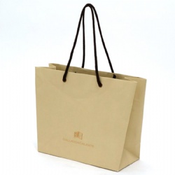 Luxury shopping bags